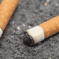 eschvrai media mégots de cigarettes