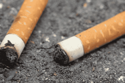 eschvrai media mégots de cigarettes