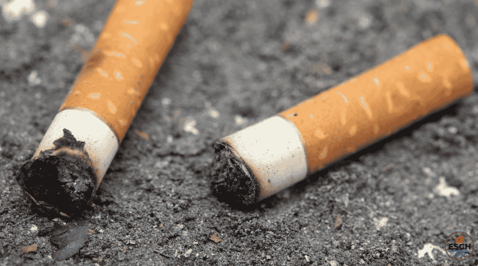 eschvrai media mégots de cigarettes